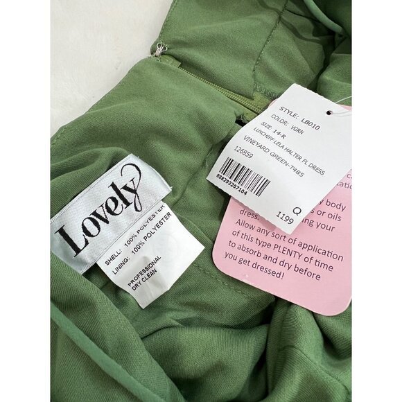 NWTD LOVELY Size 14 Lela Sleeveless Chiffon Gown Color Vineyard Green MSRP $187 - Picture 3 of 12